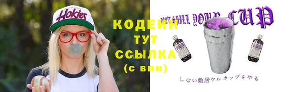 прущие грибы Переславль-Залесский