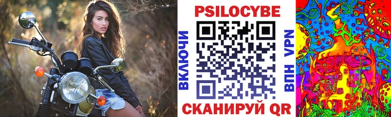где купить наркотик  Сергач  OMG ТОР  Псилоцибиновые грибы мухоморы 